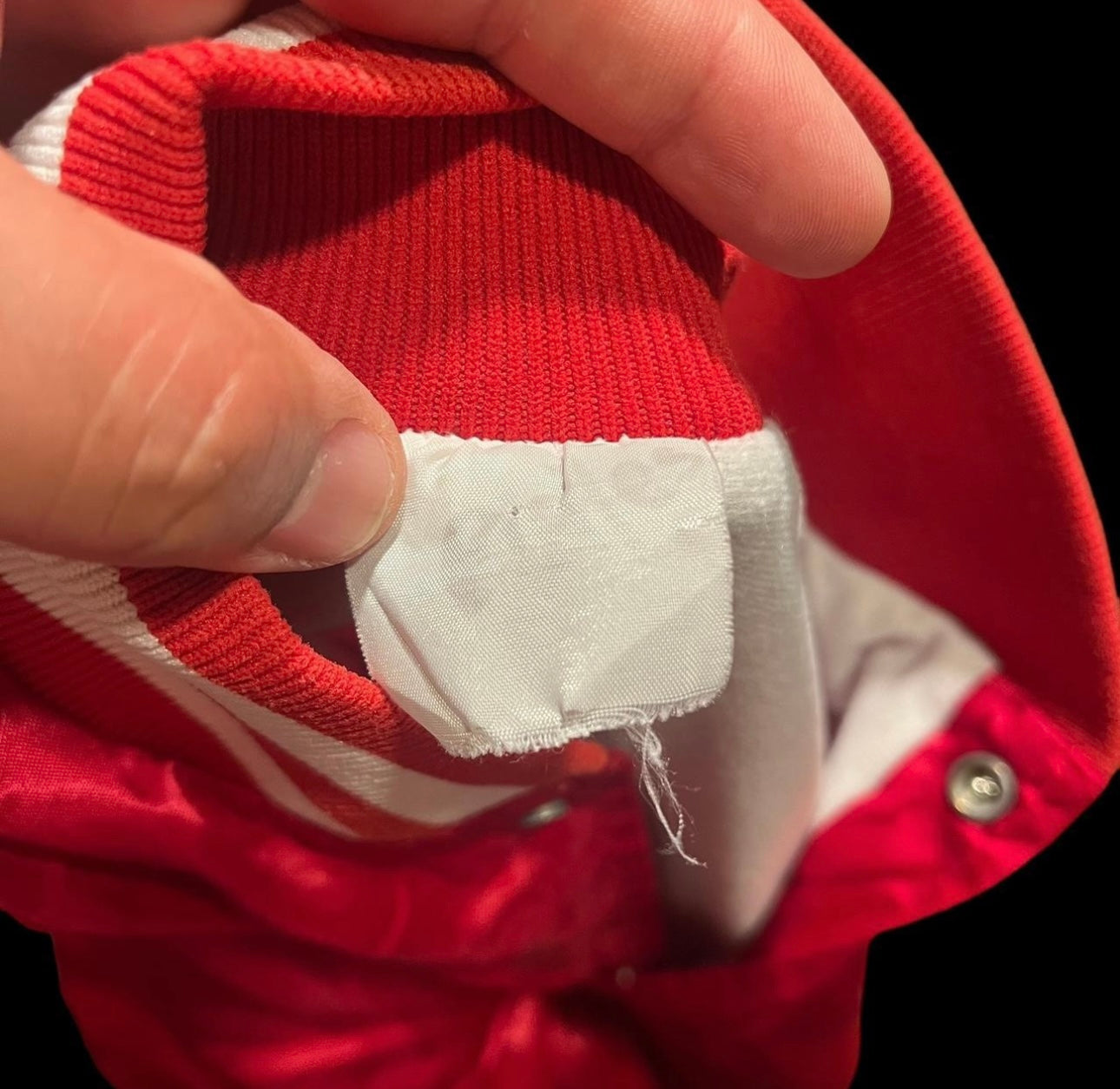 Vintage Arkansas Razorback button up jacket