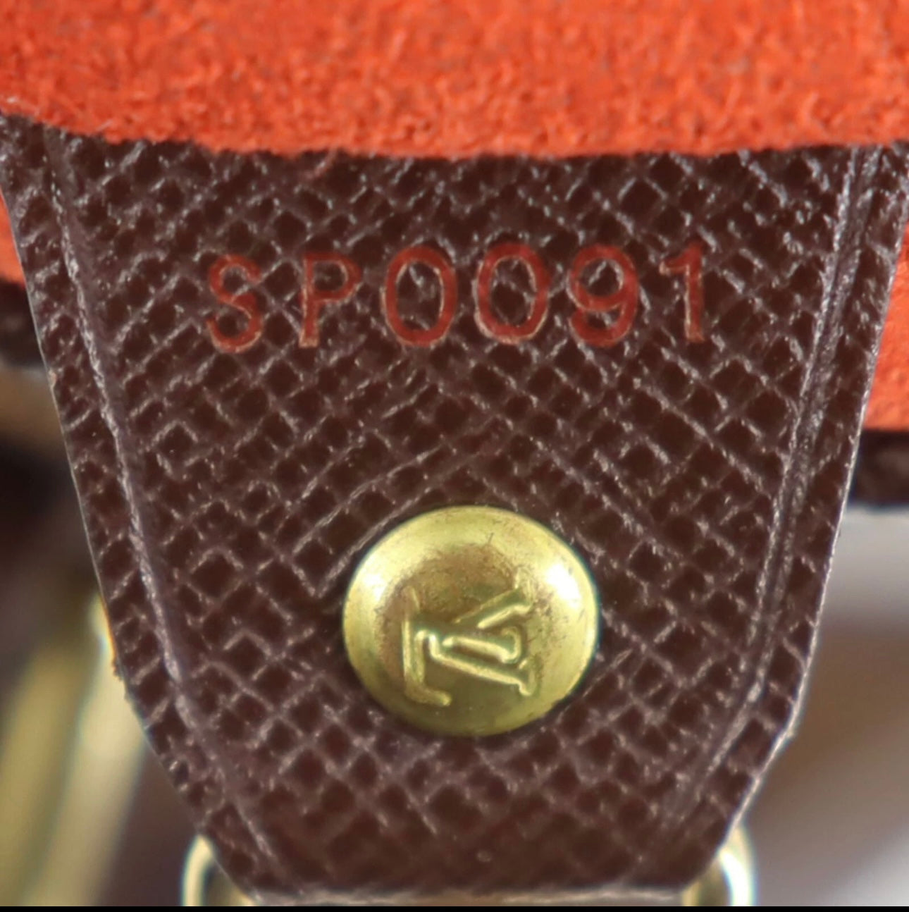 Louis Vuitton Damier Ebene Papillon Bucket Bag