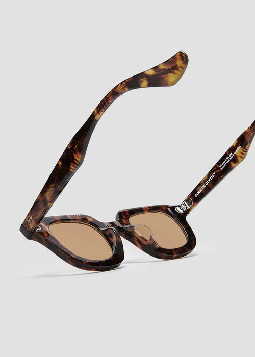 Gustave- Red Tortoise and Brown Lens