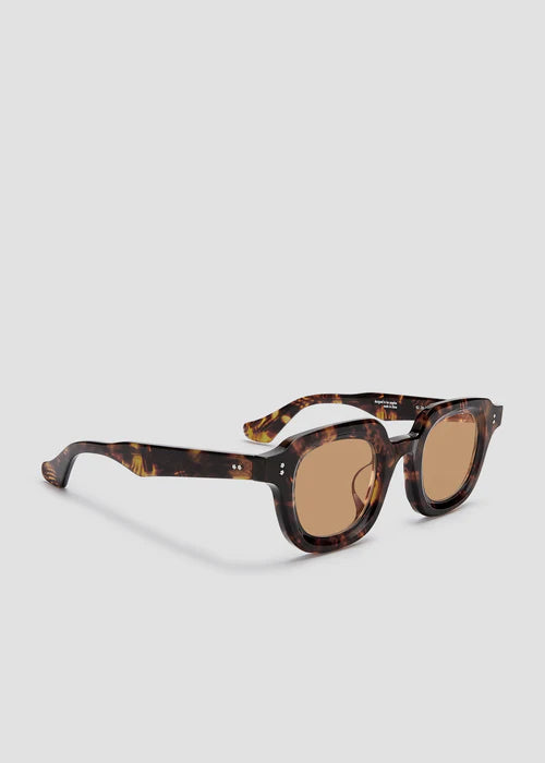 Gustave- Red Tortoise and Brown Lens