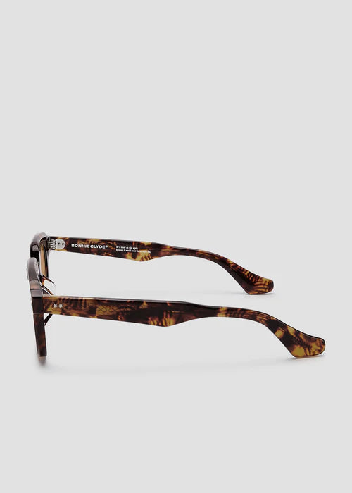 Gustave- Red Tortoise and Brown Lens