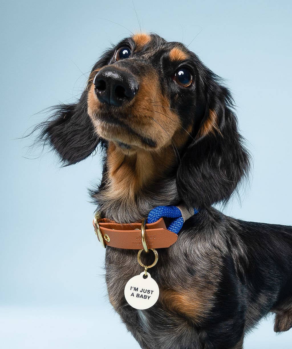 Freshwater Curated Goods - I'm Just A Baby Pet Tag