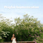 Playful Sophistication Dress