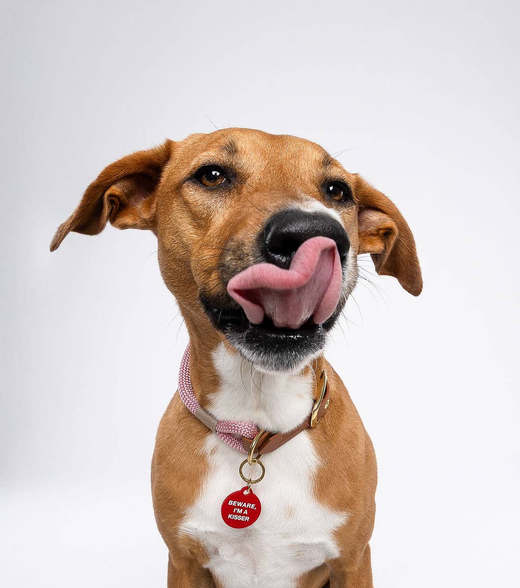 Freshwater Curated Goods - Beware, I'm A Kisser Pet Tag