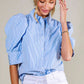 Collared Neckline Puff Sleeve Stripe Print Blouse Top