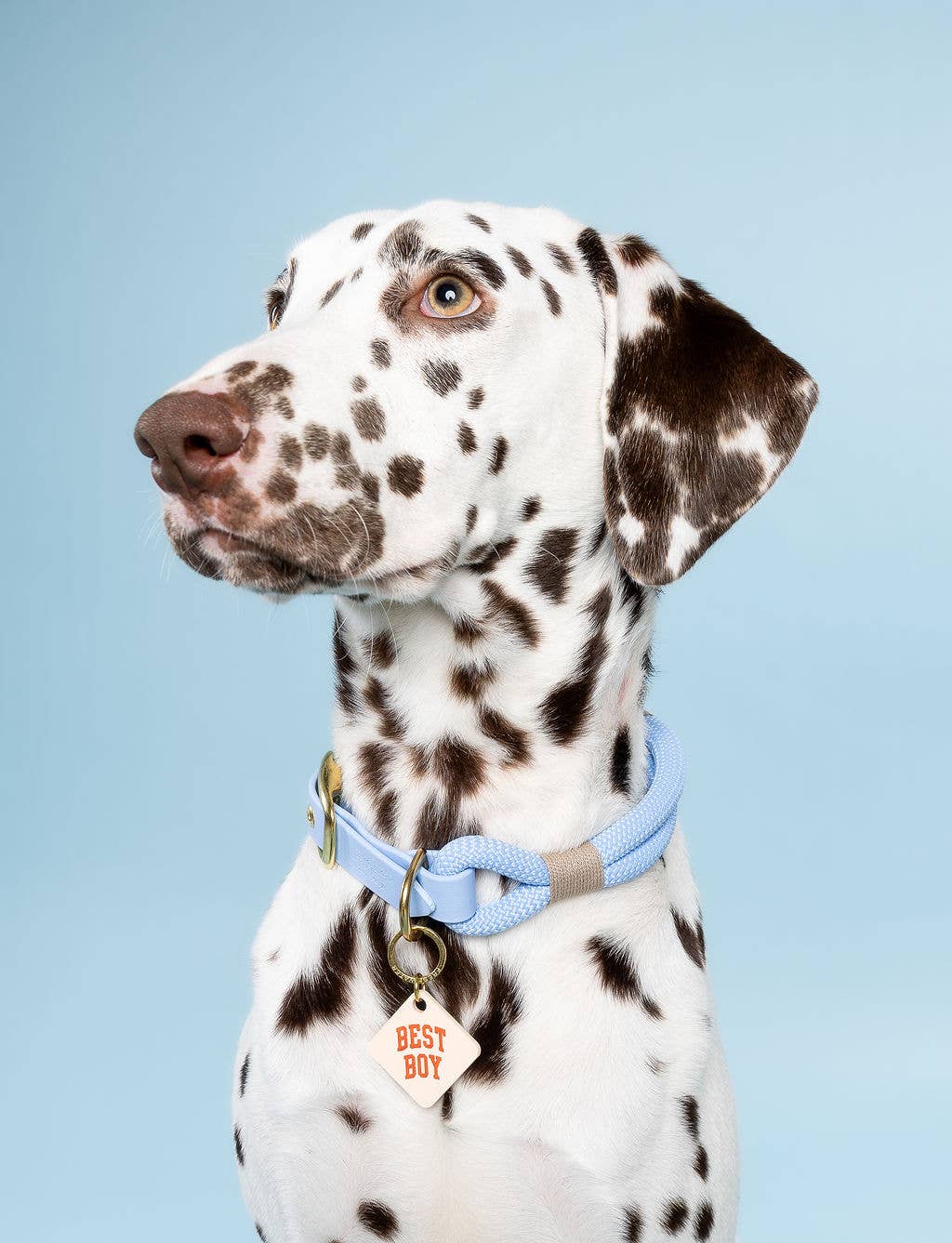 Freshwater Curated Goods - Best Boy Pet Tag