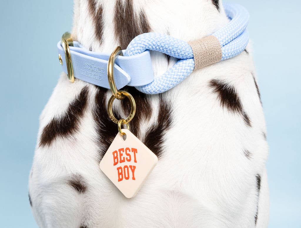 Freshwater Curated Goods - Best Boy Pet Tag