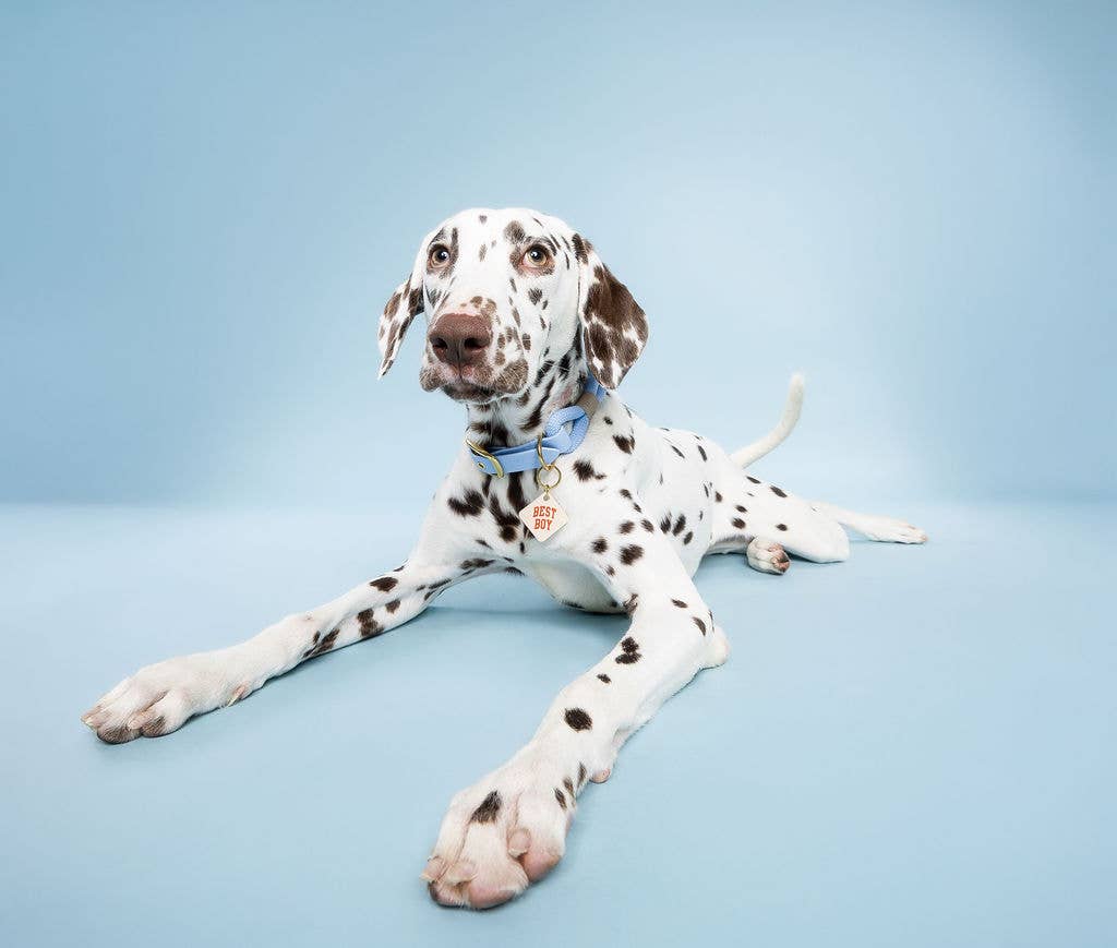 Freshwater Curated Goods - Best Boy Pet Tag