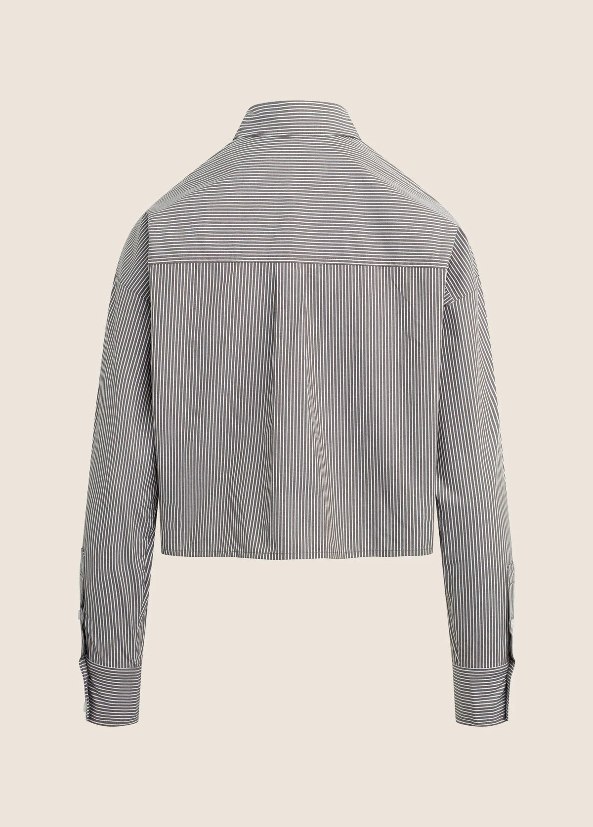 The Next Chapter Shirt