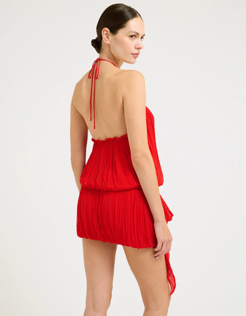 Caliente Mini Dress