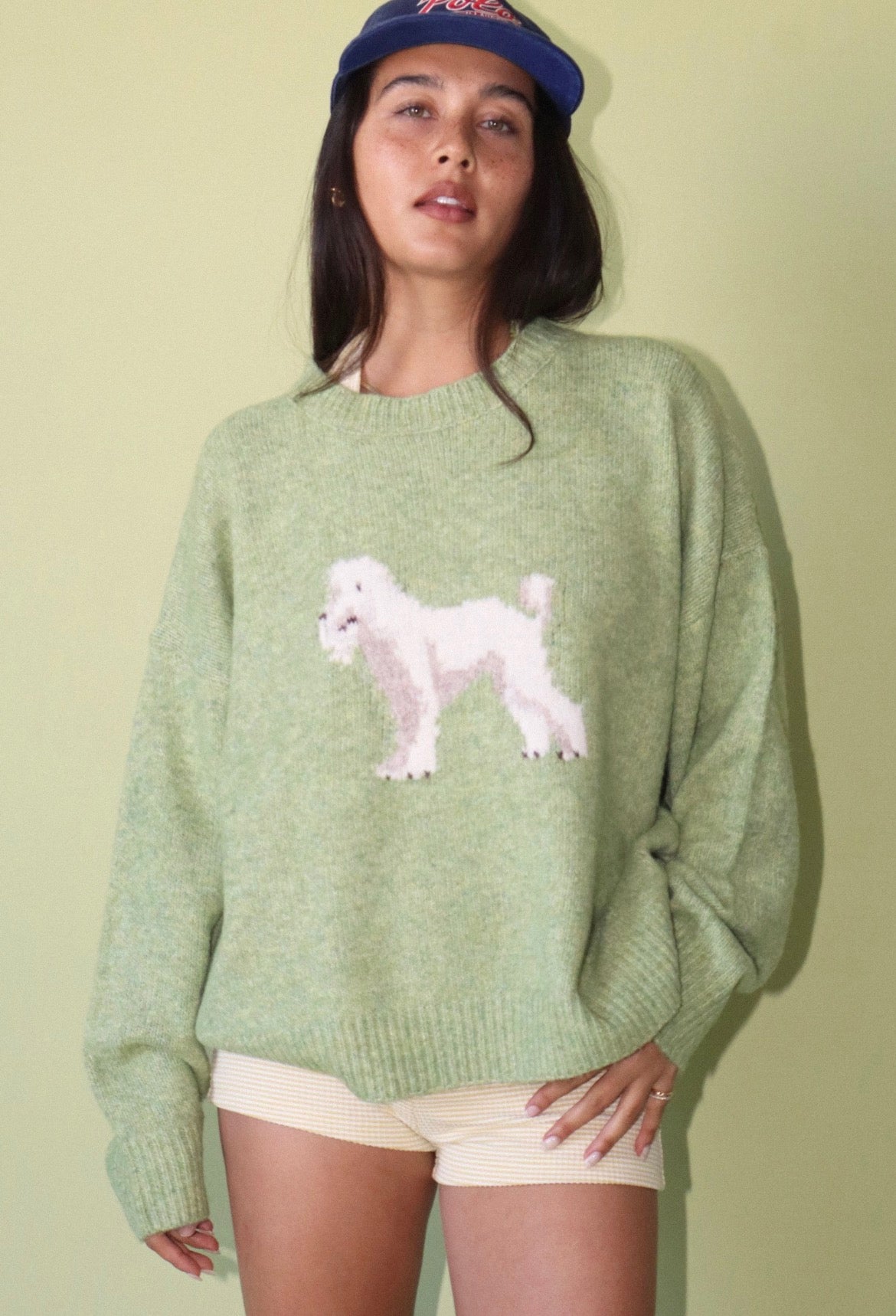 Crew-Neck Dog Icon Pullover Sweater