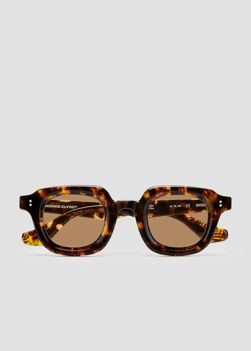 Gustave- Red Tortoise and Brown Lens