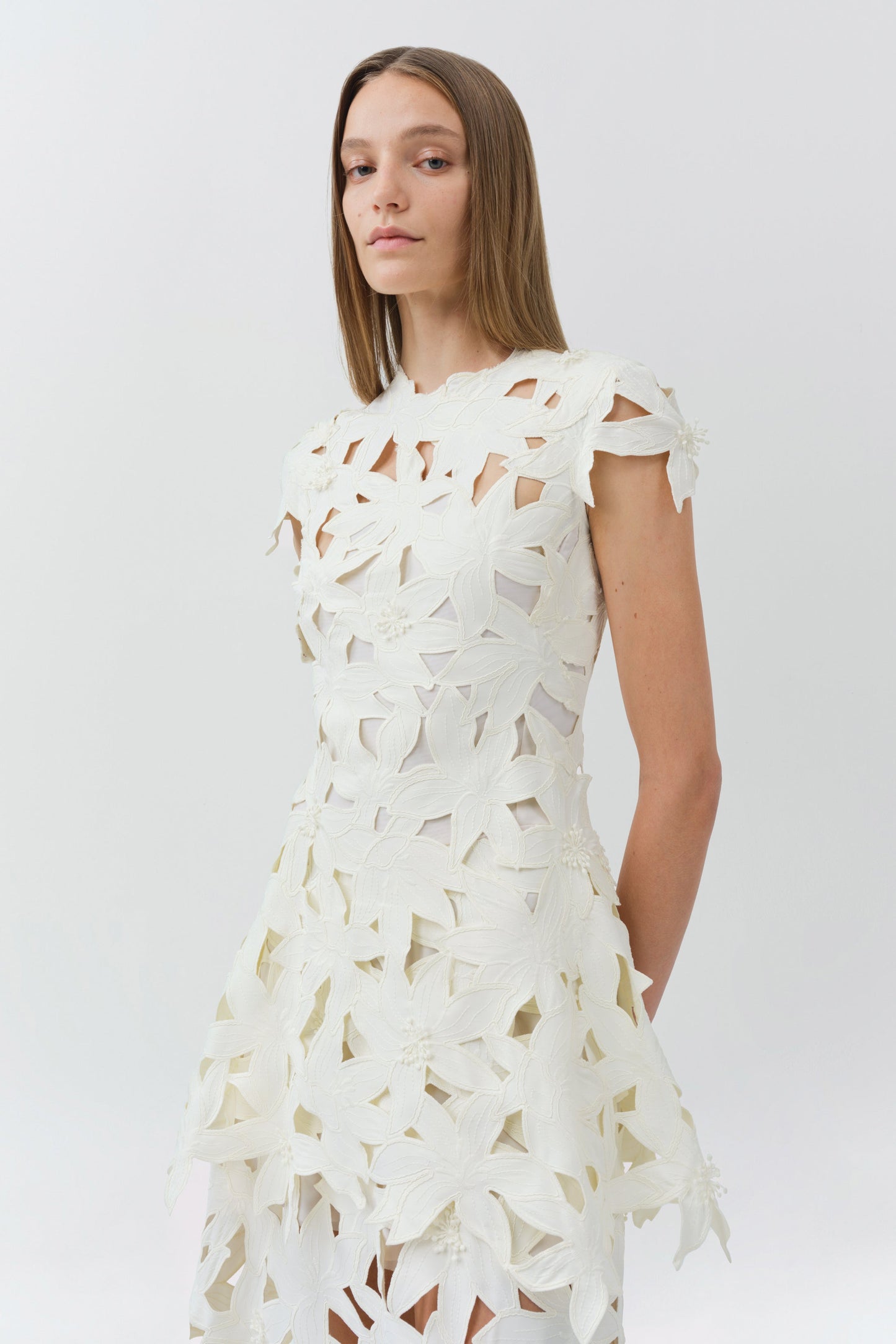 Neve Embroidered Cotton Midi Dress