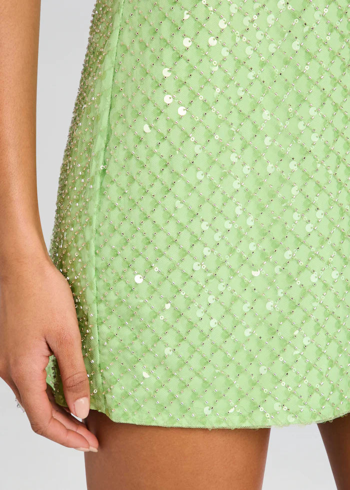 Monyca Sequin Dress