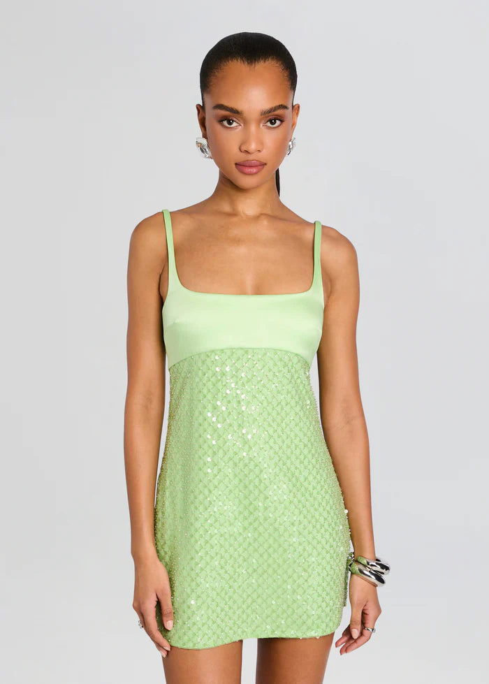 Monyca Sequin Dress