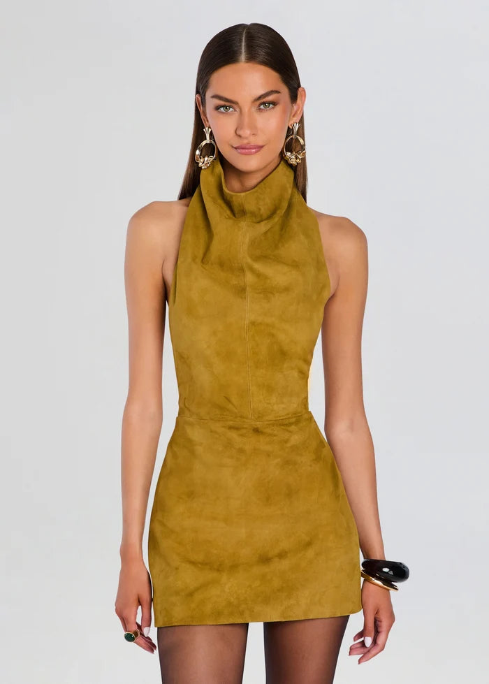 Zoriel Suede Dress