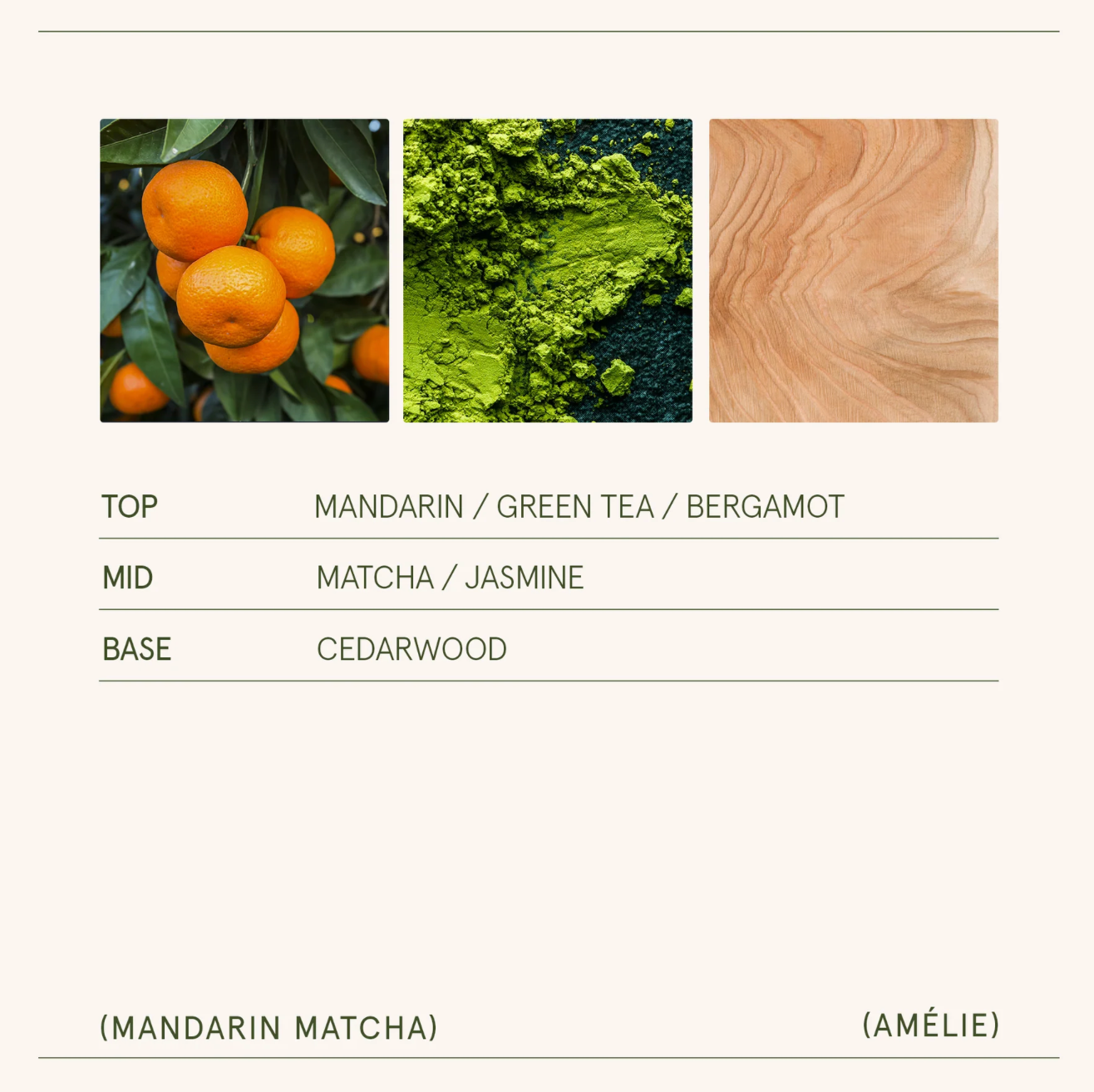 La Jolie Muse - Amélie – Mandarin Matcha Candle 7oz