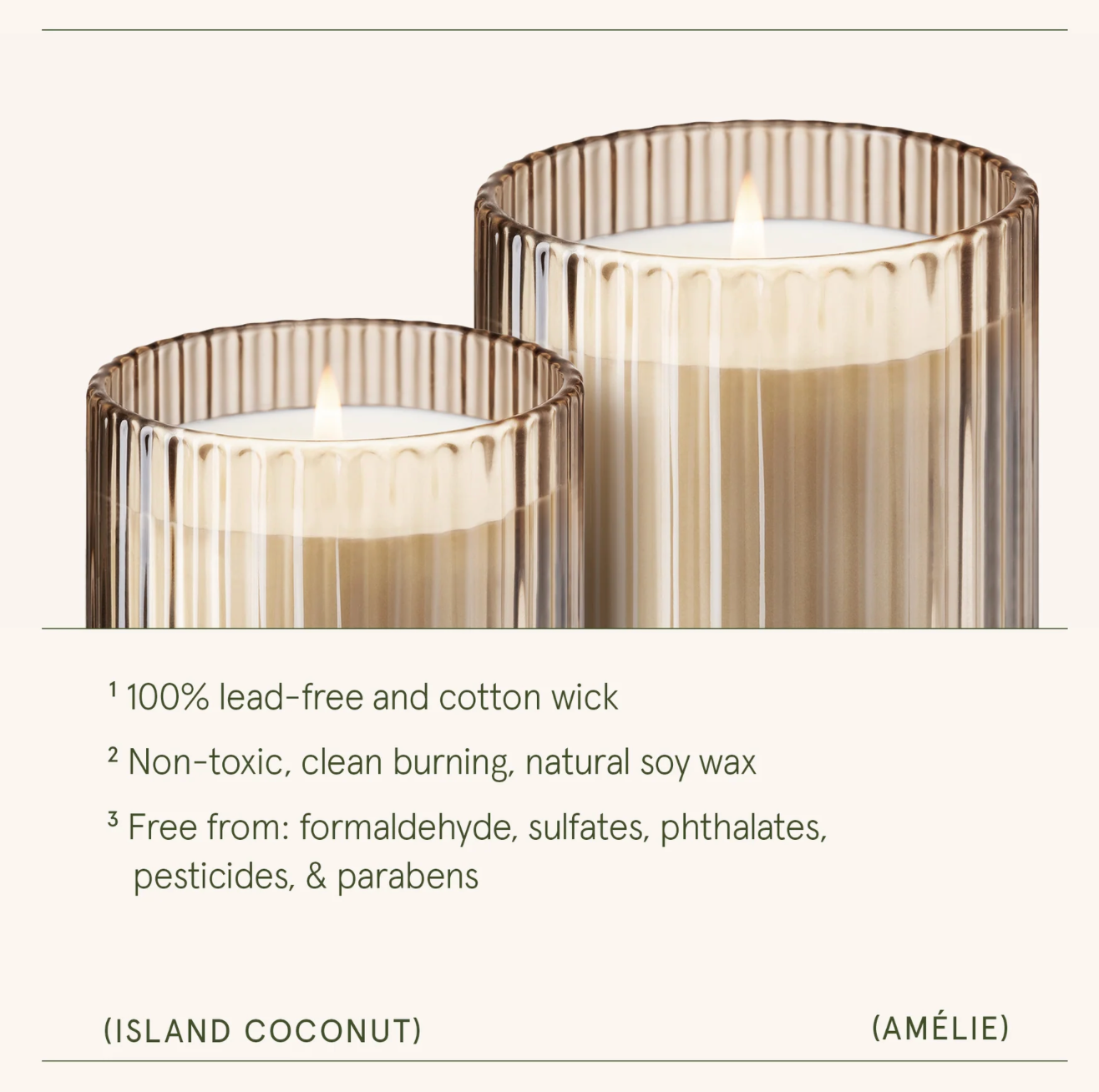 La Jolie Muse - Amélie – Island Coconut Candle 11oz