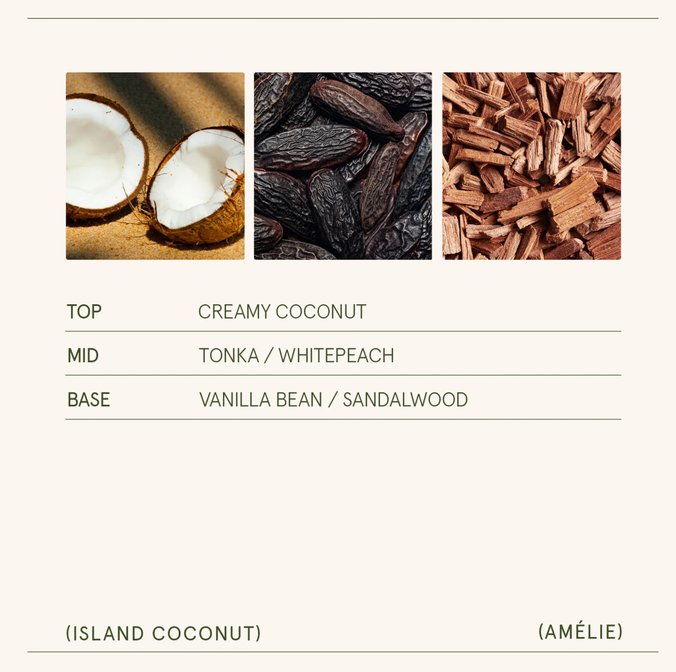 La Jolie Muse - Amélie – Island Coconut Candle 11oz
