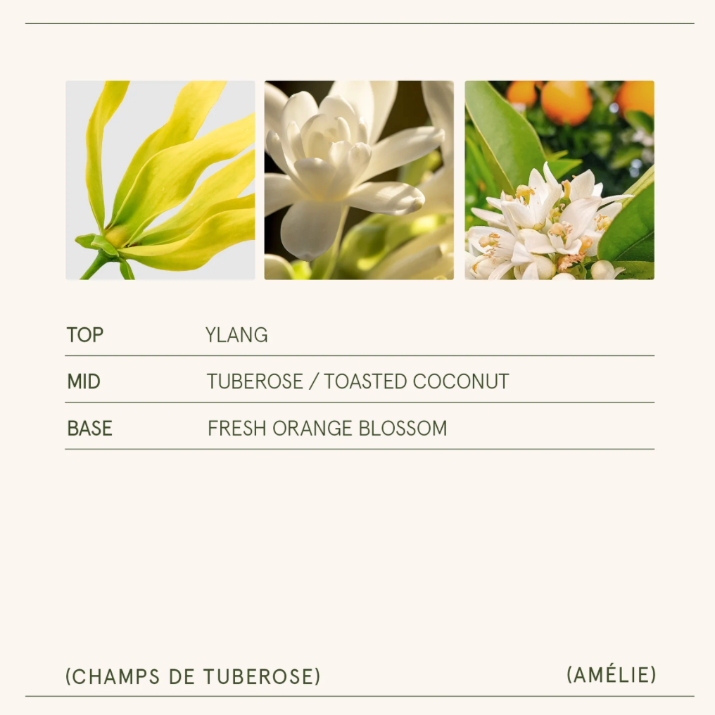 La Jolie Muse - Amélie – Champs de Tuberose Candle 11oz