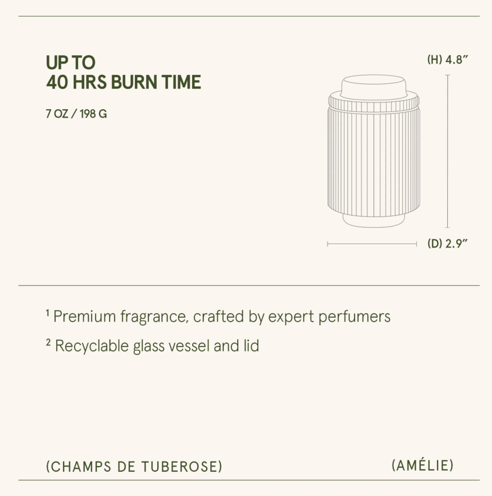 La Jolie Muse - Amélie – Champs de Tuberose Candle 11oz