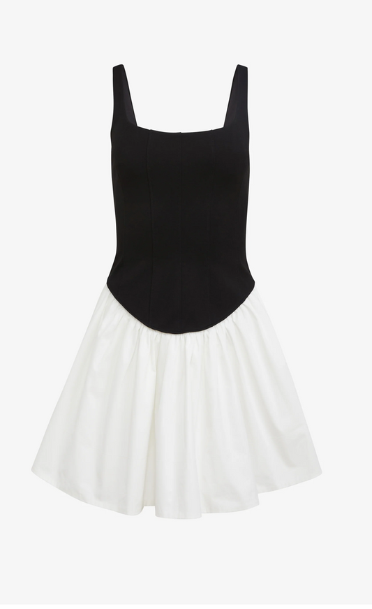 Felicie Drop Waist Corset Mini Dress-Toccin
