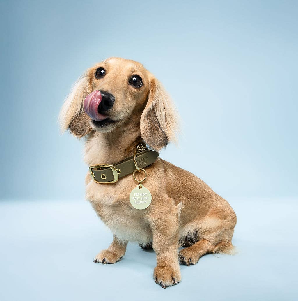 Freshwater Curated Goods - Not Fat, Just Fluffy Pet Tag