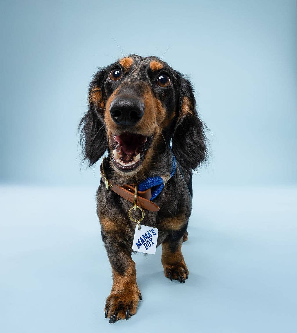 Freshwater Curated Goods - Mama's Boy Pet Tag