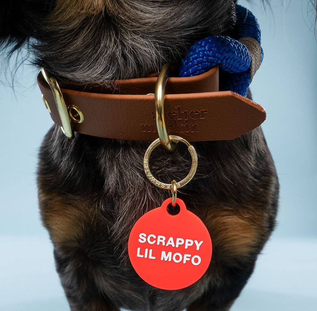 Freshwater Curated Goods - Scrappy Lil Mofo Pet Tag