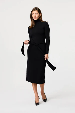 LOGAN TURTLENECK DRESS